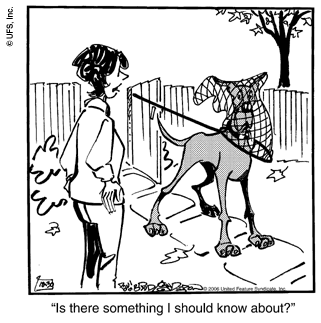 marmaduke